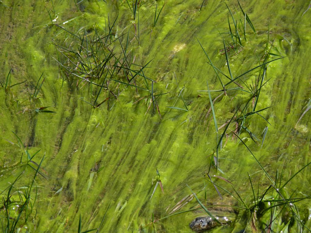 P1040153