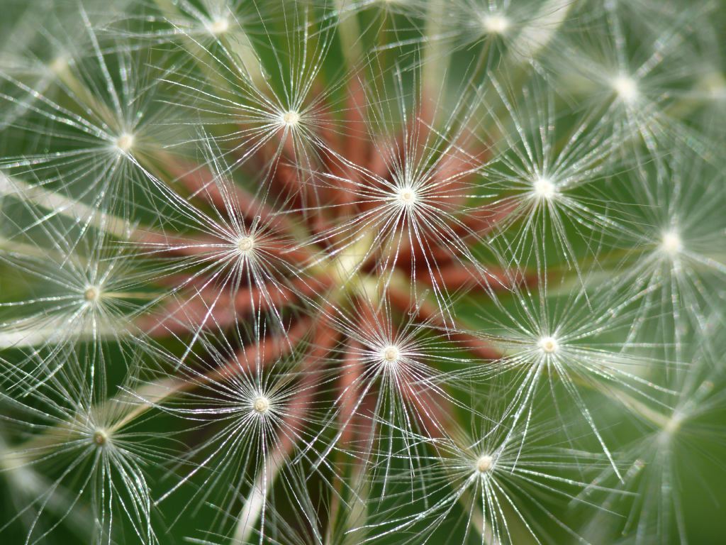 P1040387