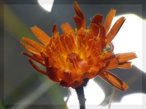 P1040396