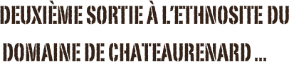 Deuxième Sortie à...