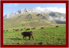 Savoie 2005 - 204